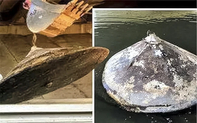 美国河流中打捞出金属物体，其内部发现核动力系统的物质