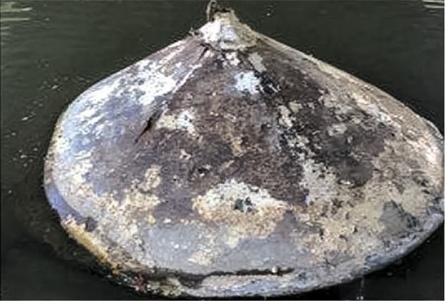 美国河流中打捞出金属物体，其内部发现核动力系统的物质