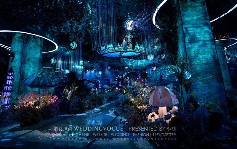 365个雨天，我遇见了会说话的猫