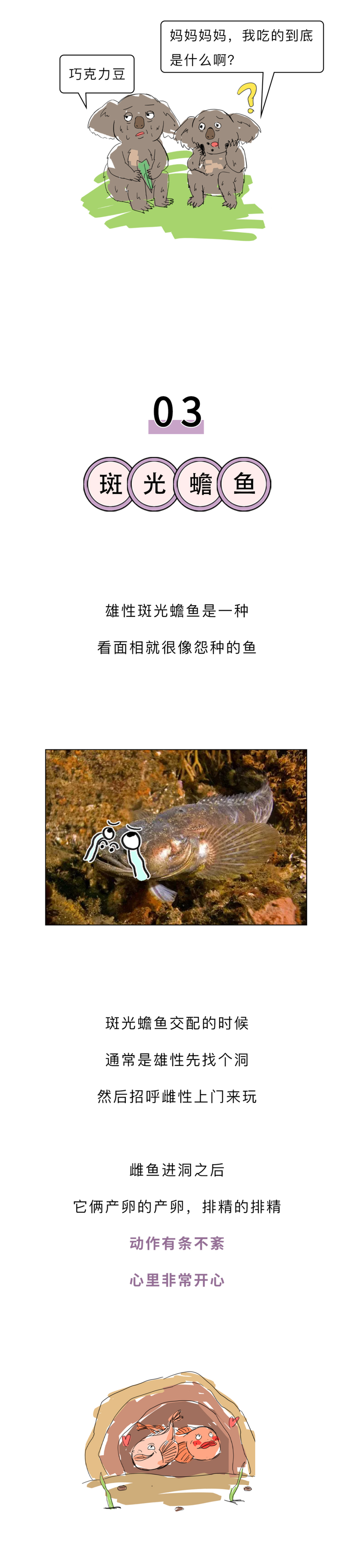 秘密花园的守护者？