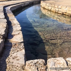 千年不干的“地下河”：古城水渠里的秘密生活