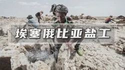 穿越古道：驼队的盐之旅——丝绸之路上的生命之源