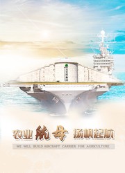 北大荒的呼唤：一个年轻人的农业梦