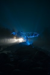 北欧火蜥光明：自然界的神奇生物电现象