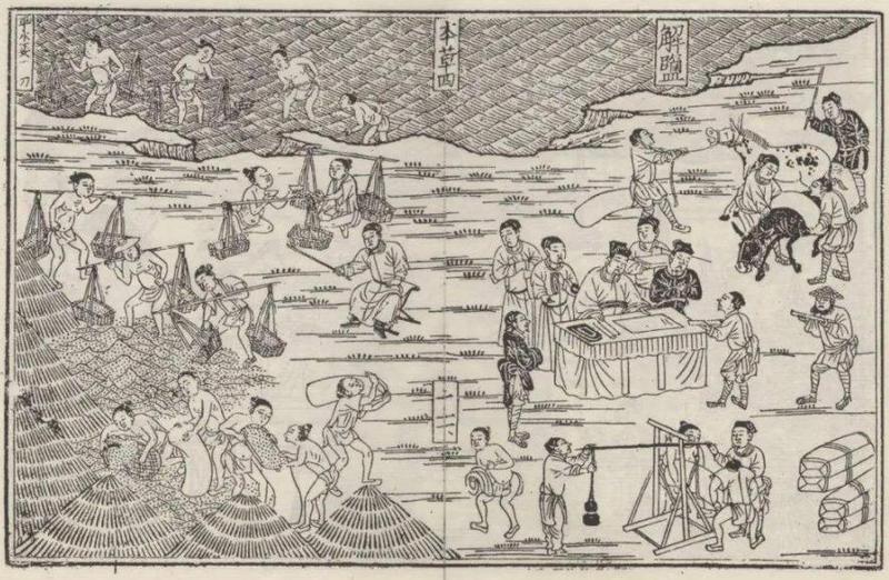 盐铁专卖：古代中国的