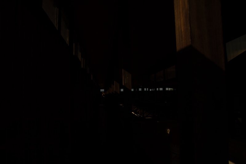 深夜刷到合恩角解剖视频,那种隔着屏幕的寒意,谁懂啊 深夜刷到合恩角解剖视频,那种隔着屏幕的寒意,谁懂啊