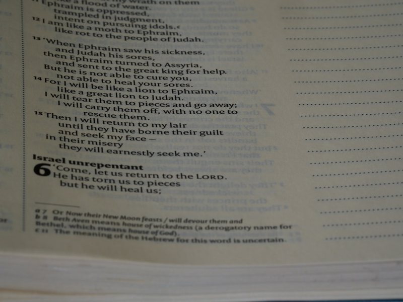 郑和下西洋·七次远航背后的关键词密码