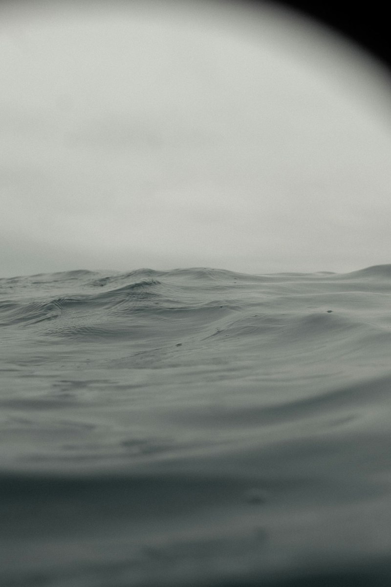 当丰收遇上 当丰收遇上