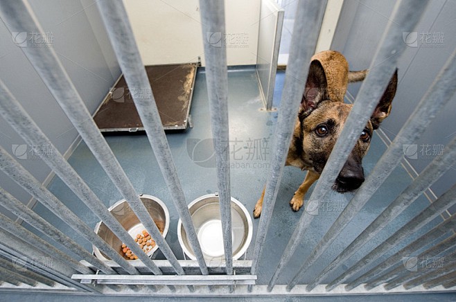 那些被遗忘的角落：探访城市中的温暖收容所