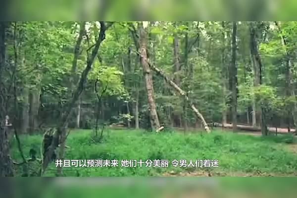 荒芜印度洋中的巫妖之谜:科学背后的真相 荒芜印度洋中的巫妖之谜:科学背后的真相