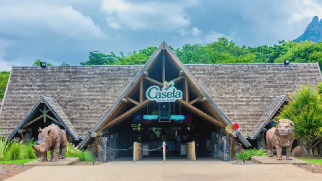 毛里求斯零点的钟声，为何总让我想起那年夏天？