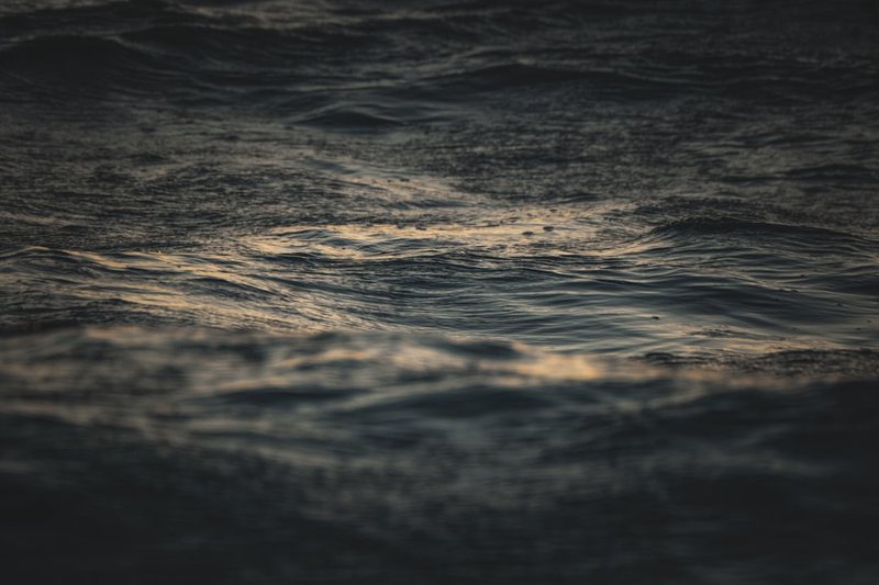 神秘的海底冷泉：逆向阴影空棺的秘密