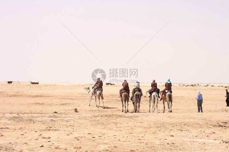 撒哈拉黑曜石碑：见证动物迁徙的神秘之旅