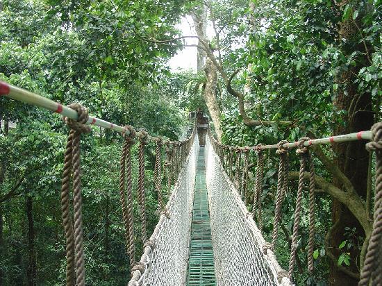 空中走廊：改变生活的新空间