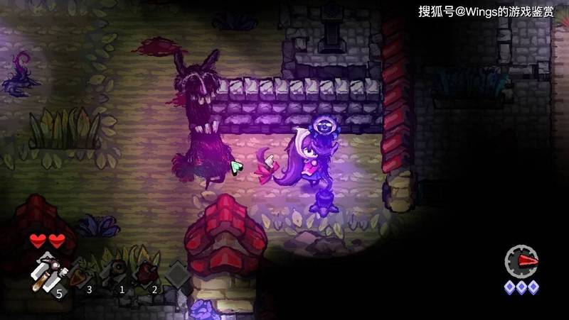 废墟火鸟夜行：揭秘神秘生物的夜间奇观