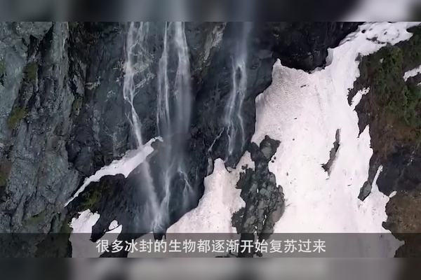 在冰封的深处，隐藏着古老的秘密