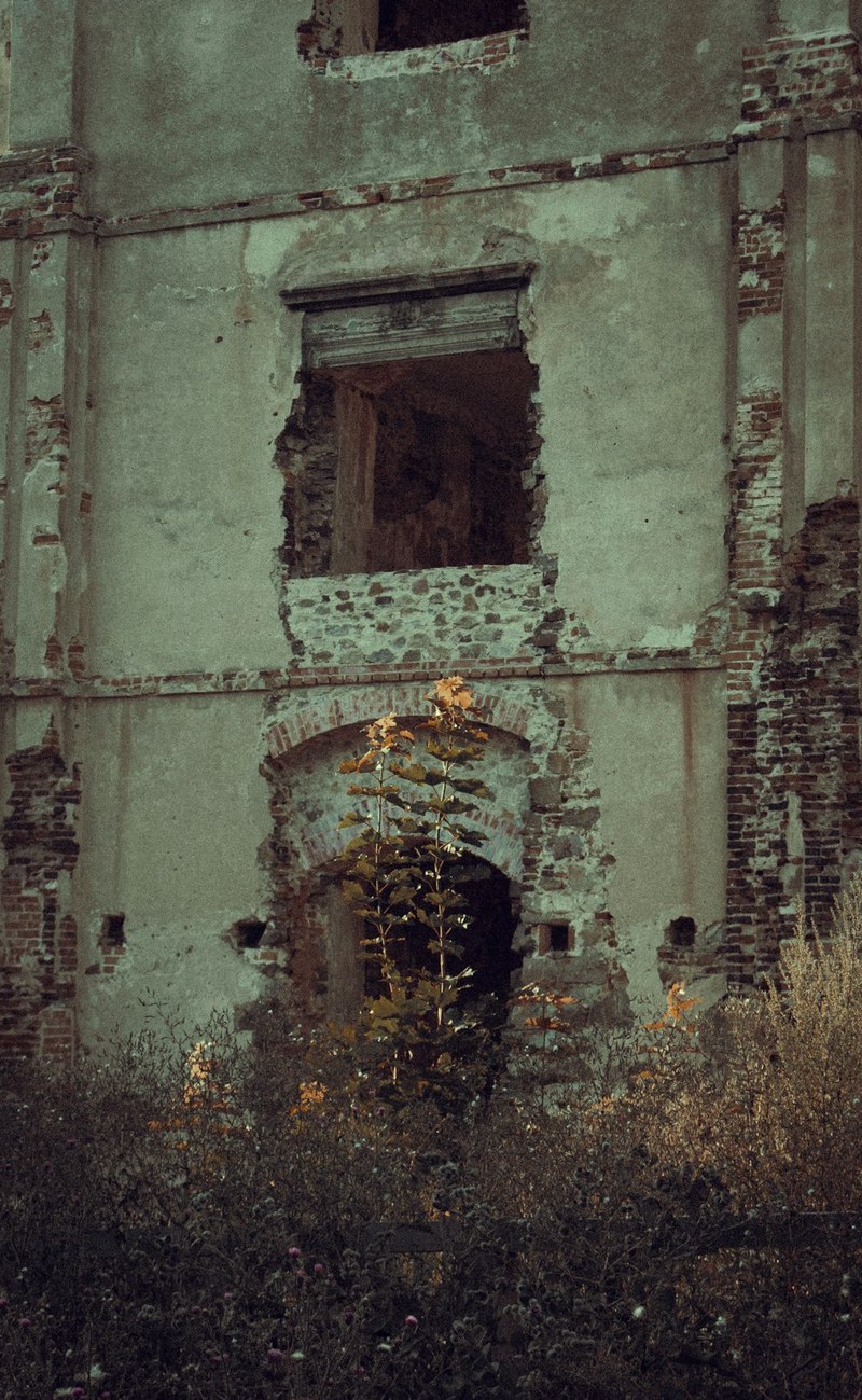 废墟里的“精灵”：科学家如何用科技守护被遗忘的遗迹？