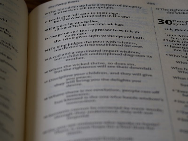 长安城的黄昏—一场兄弟阋墙背后的权力密码 长安城的黄昏—一场兄弟阋墙背后的权力密码