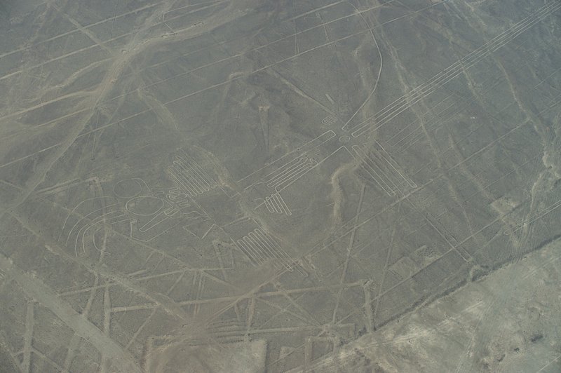 秘鲁纳斯卡线条：刻在荒原上的千古谜题，到底是谁画的？