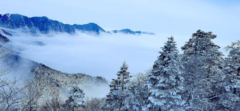 神农架毒雾·那些被误解的自然警报与古老传说