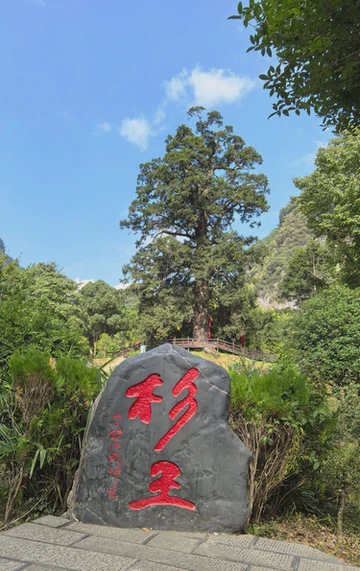 神农架惊现“黑暗白龙”？揭开这抹神秘白色背后的科学真相！