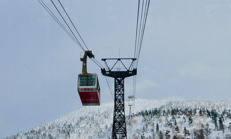 地中海雪怪隐身—科学揭秘神秘生物的隐形术