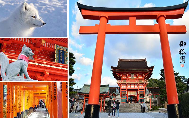 太平洋上的“幽灵公路”：揭秘神秘的“狐仙航路”