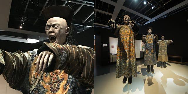 时间的南美僵尸—古老传说中的神秘生物与现代科学的交汇