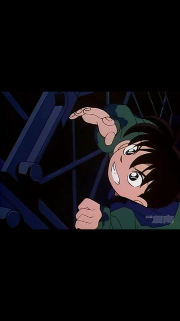 阿笠博士的“猫粮革命”：为什么高科技总是输给一根逗猫棒