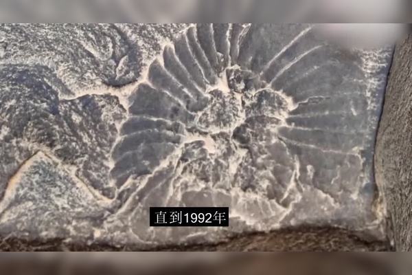 动物迁徙异常与巨石阵黑匣子残片之谜
