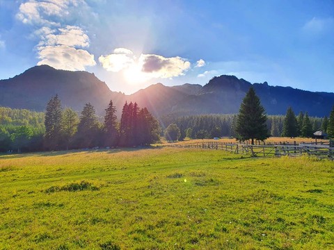 喀尔巴阡的“盐人”·大自然最神奇的防腐术,还是古代巫师的诅咒? 喀尔巴阡的“盐人”·大自然最神奇的防腐术,还是古代巫师的诅咒?