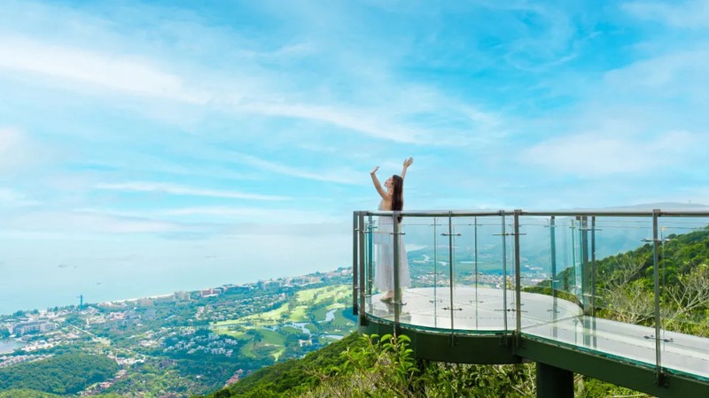 亚马孙蜃龙·自然界的治愈力量