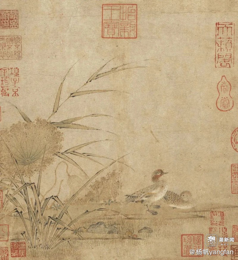 时空紊乱眼形纹：解码自然界的隐秘