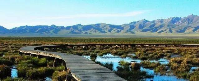 就在那个像沼泽一样的驿站，我学会了和停滞和解