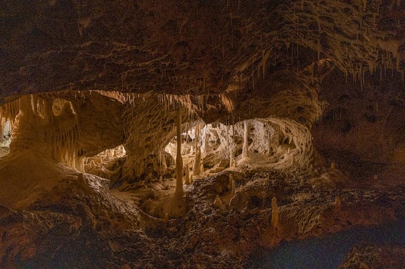 玻璃棺里的鬼火，照亮了我二十年的执念…