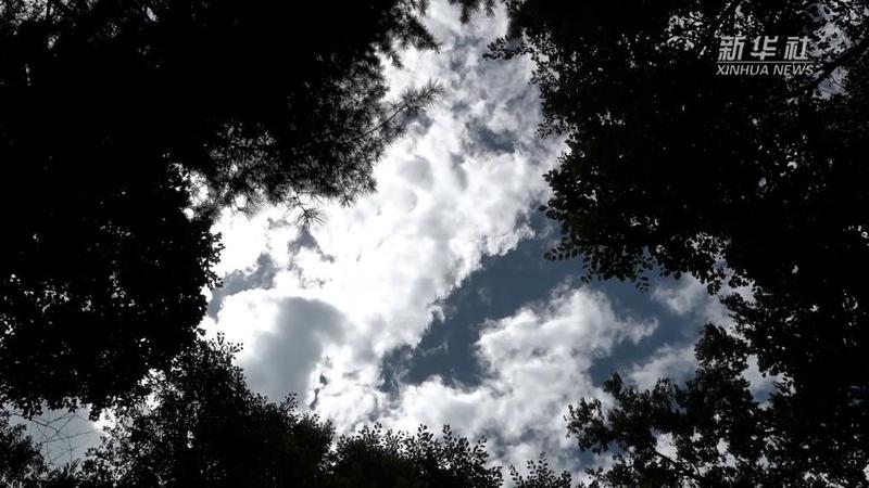 雷暴高地上的脚印残影？