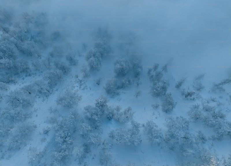 云中的奇迹：冰霜云的秘密