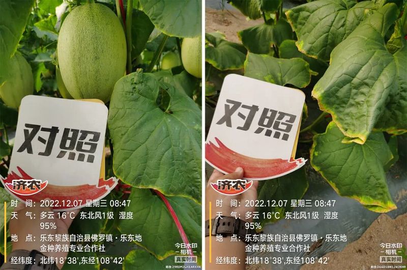 沙元素时间·沙漏如何丈量时光的流动