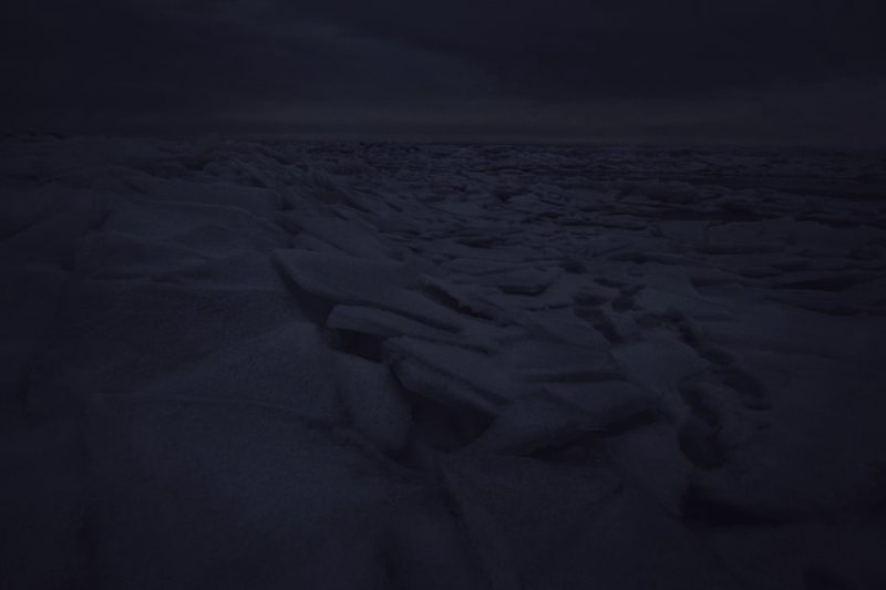 北极的夜行者:神秘生物的昼夜之谜 北极的夜行者:神秘生物的昼夜之谜