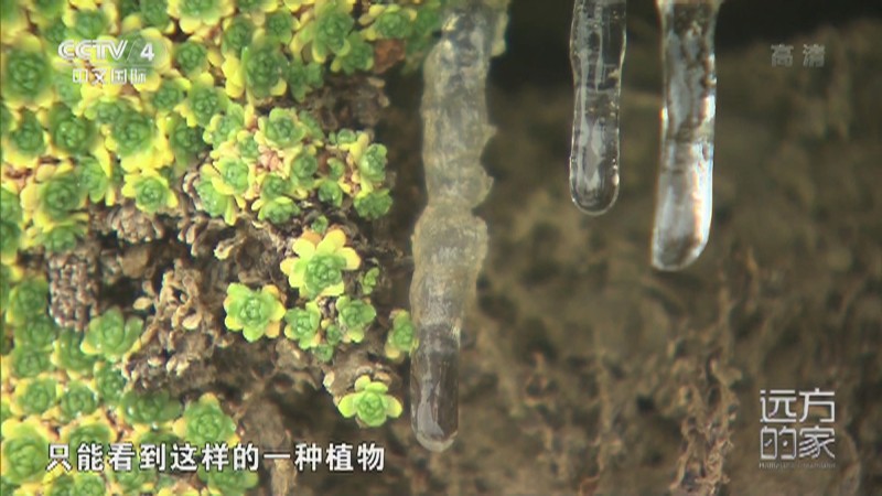 雨鱼昆仑黑色立方：在雨中寻找的神秘立方体