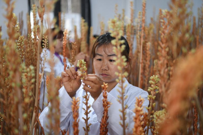 神农架骨制面具|低频嗡鸣背后的神秘故事 神农架骨制面具|低频嗡鸣背后的神秘故事