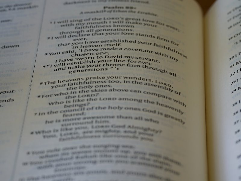 关键词列表：我从“混乱”到“有序”的内容创作进化史