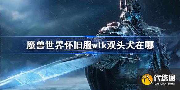 穿越时空的守护者：揭秘遗迹时间双头犬的神秘面纱