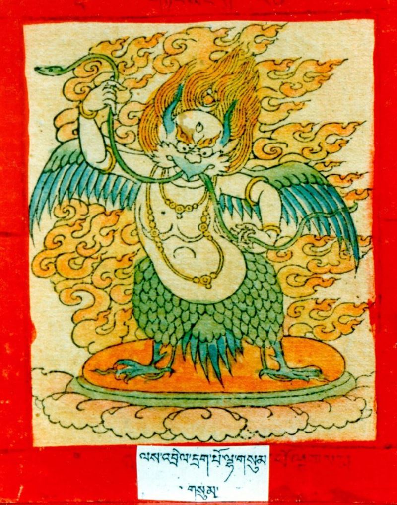 太平洋金翅大鹏：天空中的神秘旅行者