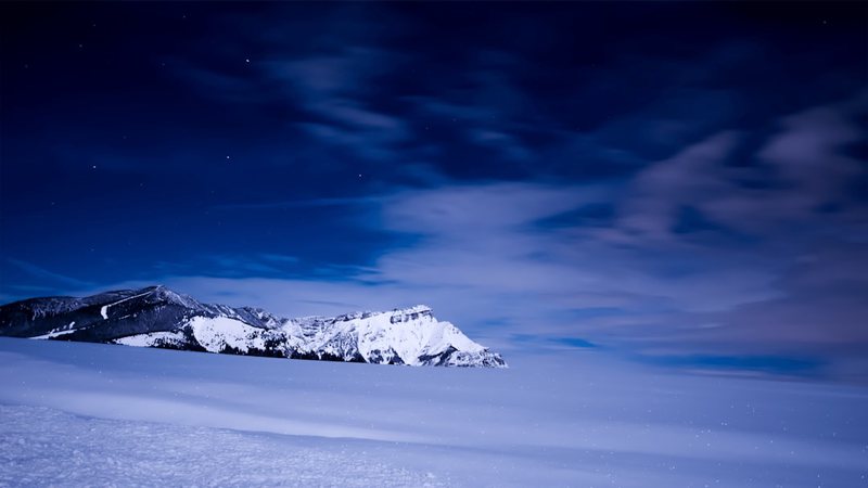 在南极的深邃黑夜中，隐藏着怎样的生命奇迹？