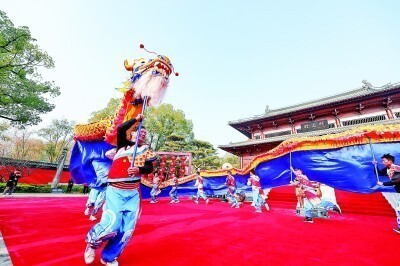 东方铜龙丰收:果园里的“红宝石”是如何炼成的?揭秘背后的硬核科学 东方铜龙丰收:果园里的“红宝石”是如何炼成的?揭秘背后的硬核科学