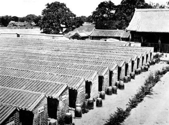 从金榜题名到新式学堂：科举废除背后的故事