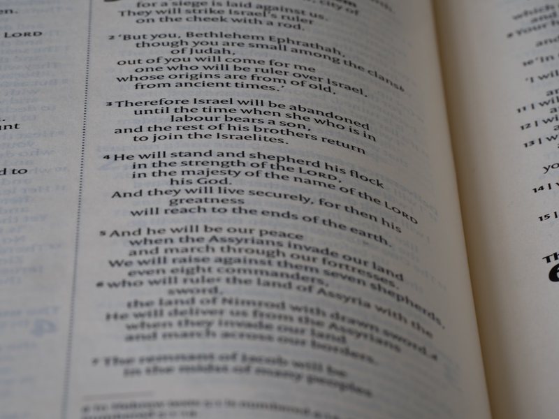 关键词列表：我这些年摸爬滚打的总结