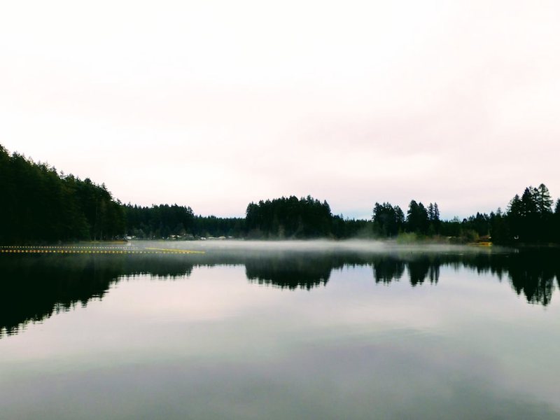 湖泊时间独角兽：隐藏在冰封世界中的神秘生物之谜