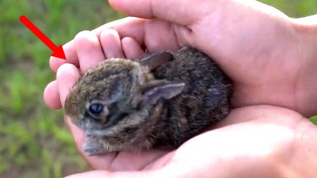她把老街的烟火气,酿成了糖浆 她把老街的烟火气,酿成了糖浆